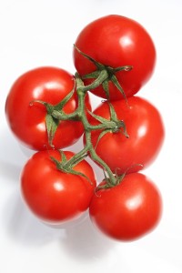 ako si vypestovať paradajky doma